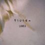Flusen