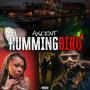 Hummingbird (Explicit)