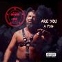 ARE YOU A PIG (Explicit)