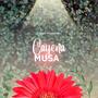 Musa (feat. Cayena)