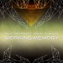 Working Memory