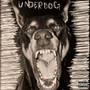 Underdog ft. Mack (Prod. by Homage's Hidden Gem) [Explicit]