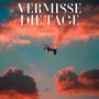 Vermisse die Tage (feat. wik)