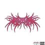 RunUp #MM (Explicit)