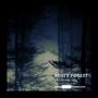 Misty Forest (Explicit)