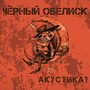 Акустика 2? (Acoustic Version)