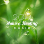 2019 Nature Healing Music: New Age Nature & Instrumental Music, Perfect Background for Healing Treatments, Increase Your Immunity, Improve your Mood and Regain a Will to Live