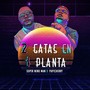 2 Gata en 1 Planta (Explicit)