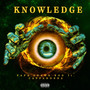 Knowledge (Explicit)