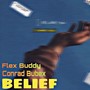 Belief