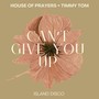 Can't Give You Up