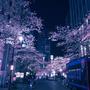Tokyo Lights (Explicit)