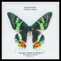 The Butterfly Effect (Double A.B. Remix)