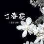 丁香花