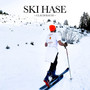 Ski Hase