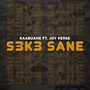 S3k3 Sane