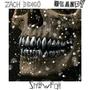 SNOW FALL (feat. Zach Indigo)