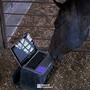 Horse Ebooks (DJ Gluten Intolerant Rmx)