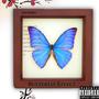 Butterfly Effect (Explicit)