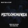 Mitochondria (feat. Prod. By nyomi)