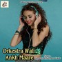 Orkestra Wali Ankh Maare