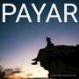 Payar 2 (Love)