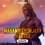 Mahamrityunjaya Mantra Lo- Fi