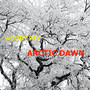 Arctic Dawn