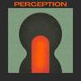 perception