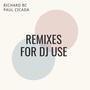 Remixes For DJ Use