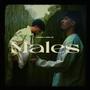 MALES (feat. AISSA SG)