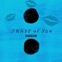 Shape of you (Kics&Kiks Remix)