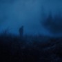 desolate
