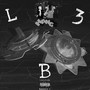 LB3