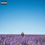 fin (Explicit)