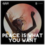 Peace Is What You Want - Extended