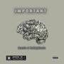 Important (Explicit)