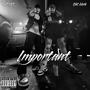 Important (Explicit)