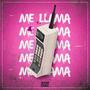 ME LLAMA (Explicit)