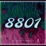 8801 (Explicit)