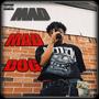 Mad Dogs (Explicit)