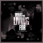 What You Living For (feat. D'General & Fru) [Explicit]