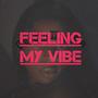 Feeling My Vibe (Explicit)