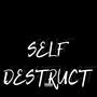 Self Destruct