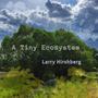 A Tiny Ecosystem