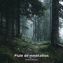 Pluie de méditation
