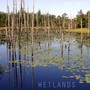 Wetlands