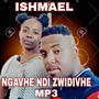 NGAVHE NDIZWIDIVHE