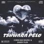 Tshwara Pelo (feat. Zaddy Flex, Mellow & G -bouy)