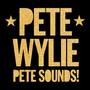 Pete Sounds